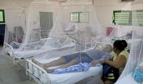 Reportan más de 500 casos sospechosos de dengue por semana | Noticias Paraguay