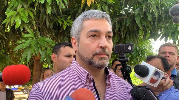 Mario Abdo afirma que no tiene injerencia en caso Ulises Quintana - Nacionales - ABC Color