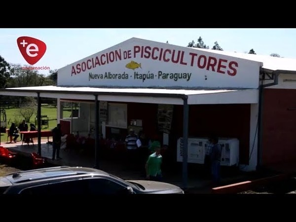 LÍNEA TRIFÁSICA LLEGA A PISCICULTORES DE NVA, ALBORADA