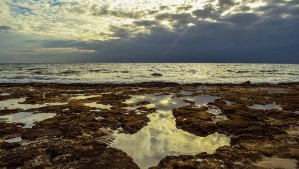 Lo más grave es la destrucción del ecosistema marino, advierte científico » Ñanduti