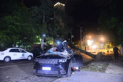 Árbol caído causó tres accidentes en menos de cinco horas - Nacionales - ABC Color