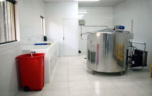 Habilitaron una planta de acopio de frutilla en Areguá - Economía - ABC Color
