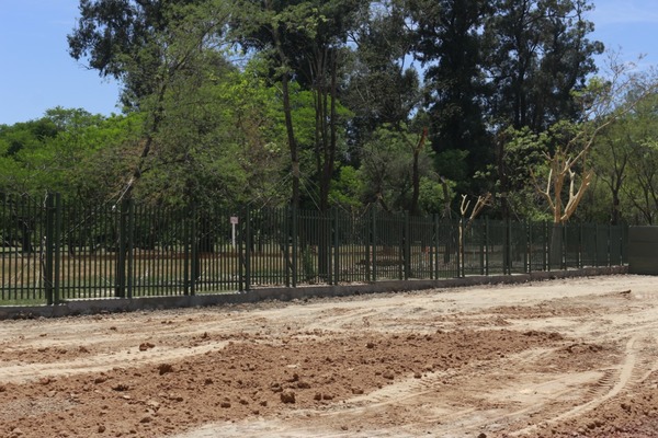 Liberan primeros metros de calzada para dársena de colectivos en la avenida Primer Presidente | .::Agencia IP::.