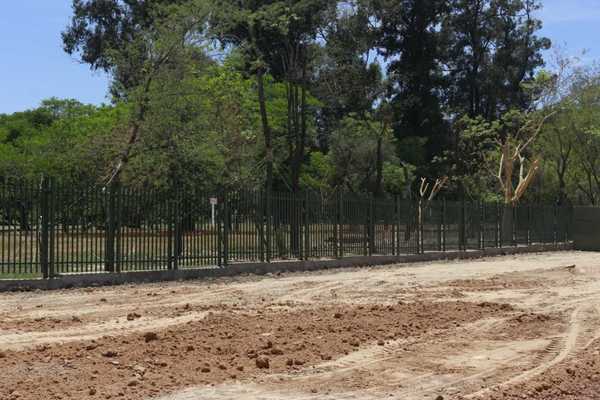 Liberan calzada para dársena de colectivos en la Av. Primer Presidente