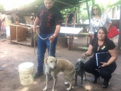 Dos perros son rescatados tras denuncias de maltrato animal