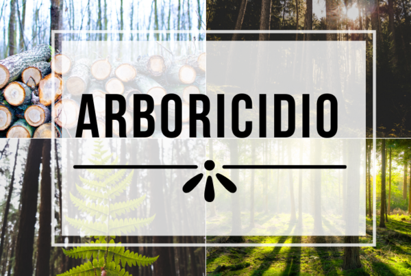 La palabra “arboricidio” ya está en el Diccionario de la Lengua Española