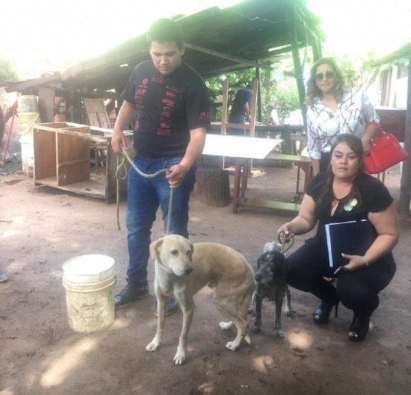 Rescatan perros en supuesta situación de maltrato | Noticias Paraguay