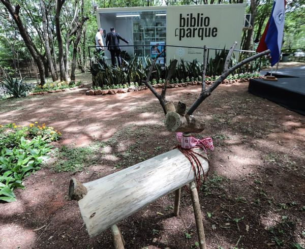 “Biblioparques” para impulsar la lectura al aire libre