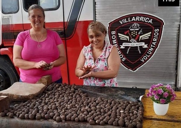 Lanzarán 100.000 bombas de semillas para reforestar el Ybytyruzú - Digital Misiones