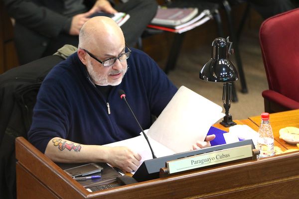 Curul de “Payo” Cubas en Senado corresponde a ANR, dice Ljubetic