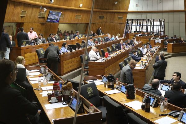 Cámara de Diputados trata hoy proyecto de Presupuesto 2020
