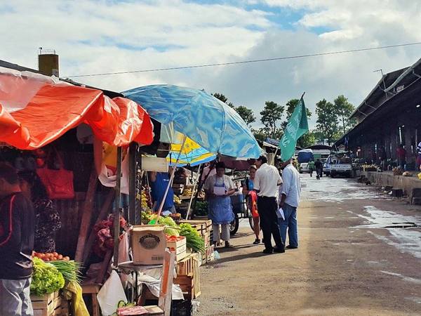 Campesinos 'volantean' en Abasto para informar sobre crisis