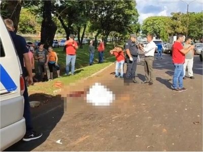 Murió atropellada mientras intentaba cruzar la ruta