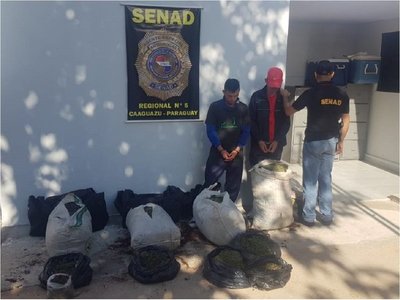 Dos aprehendidos con 53 kilos de marihuana en Caaguazú