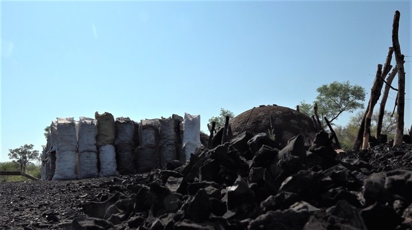 Carbonerías en el Chaco: Transformar en energía el árbol derribado