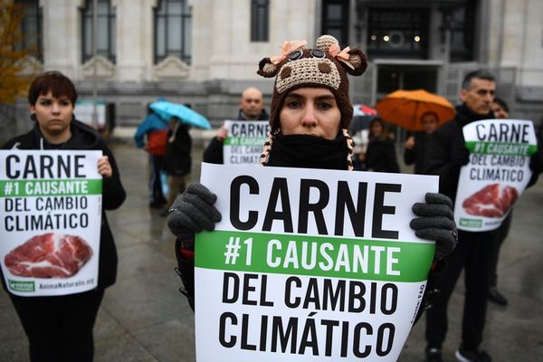 Los mitos sobre el cambio climático que arrecian ante la COP25 - Mundo - ABC Color
