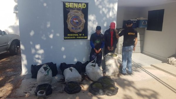 Dos aprehendidos con 53 kilos de marihuana en Caaguazú