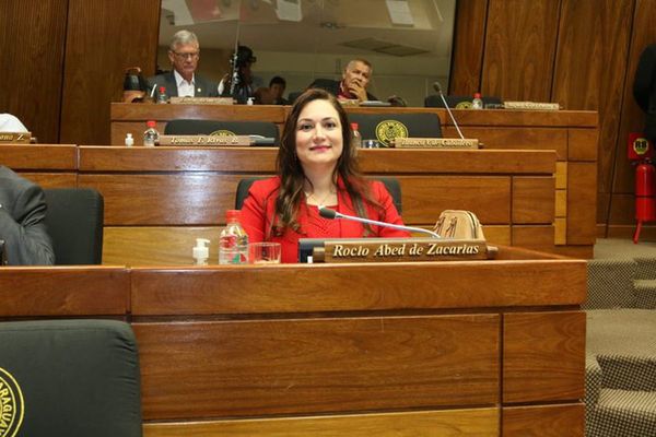 Rocío Abed ya ocupa la banca de Ulises Quintana