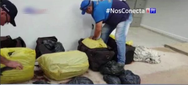 Jóvenes llevaban 53 kilogramos de marihuana en ómnibus | Noticias Paraguay