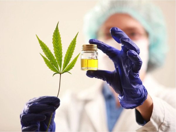 Brasil aprueba la venta de medicamentos a base de marihuana