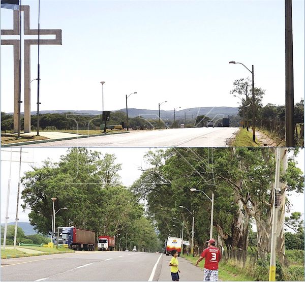 Peregrinos caminan a Caacupé sin el fresco y hermoso eucaliptal