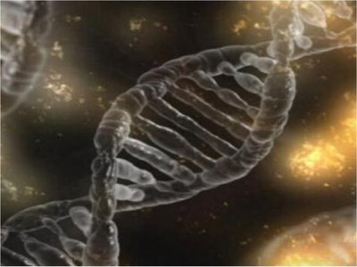 Tecnología permite escrutar los genes de millones de años