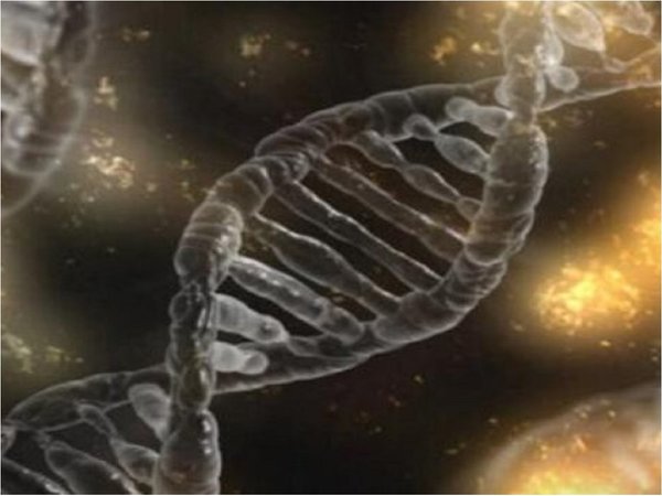 Tecnología permite escrutar los genes de millones de años