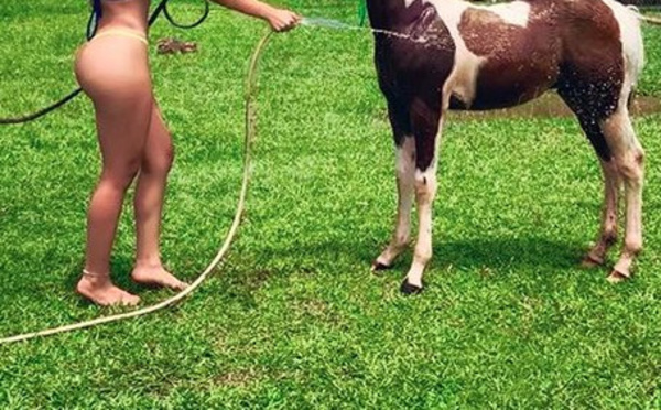 ¡PURA TERNURA! Miss Bombonazo tiene de bebé a un caballito