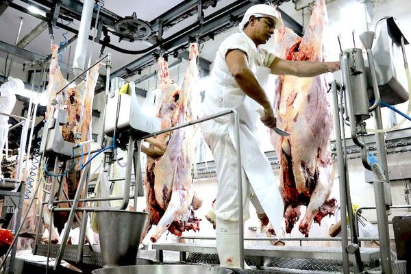 Paraguay enviará más carne y ahora también por aire, a Taiwán