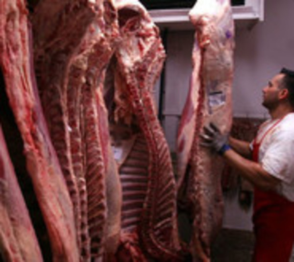 Rusia restringirá importación de carne paraguaya  - Paraguay.com