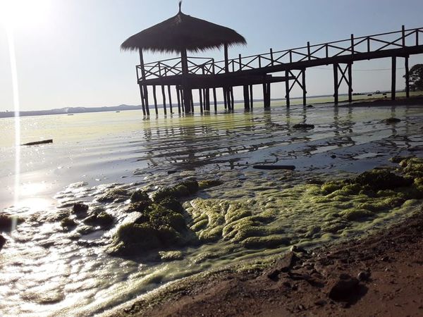 Usarán drones acuáticos para tratar de recuperar el lago Ypacaraí - Nacionales - ABC Color