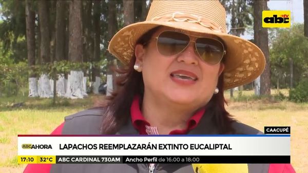 Lapachos reemplazarán desaparecido eucaliptal - ABC Noticias - ABC Color