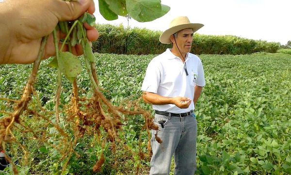 Adquieren tecnología israelí que ayudará a mejorar producción