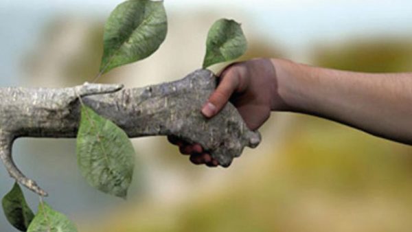 Polémico acuerdo ambiental