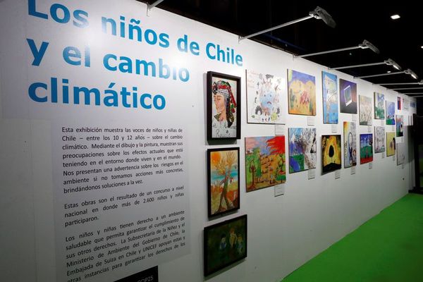 Catalina, María Esperanza, Guillermo: también hay “Gretas” en Latinoamérica - Mundo - ABC Color