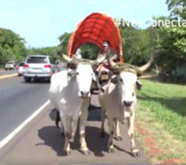 Desde Guarambaré hasta la Basílica en carreta - Paraguay.com