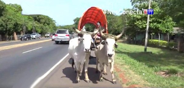 Más de 60 años de tradición: Desde Guarambaré hasta la Basílica en carreta | Noticias Paraguay