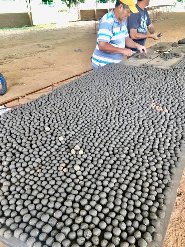 Lanzarán bombas de semillas para reforestar el Ybytyruzú » Ñanduti
