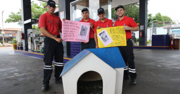 Animalera y playeros ¡pelean por “Costilla”!
