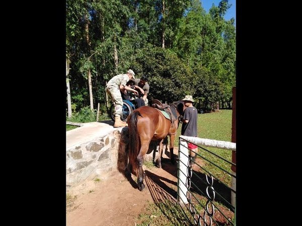 EQUINOTERAPIA GRATUITA EN EL COMISOE