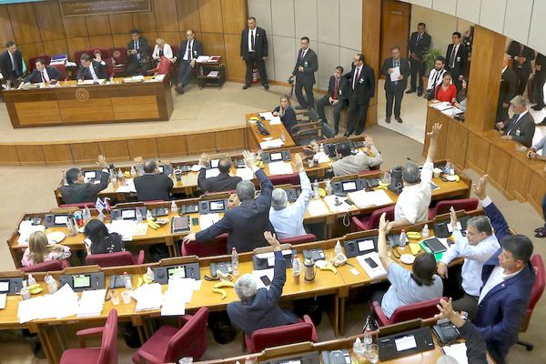 Senado rechazó aumentos realizados por Diputados