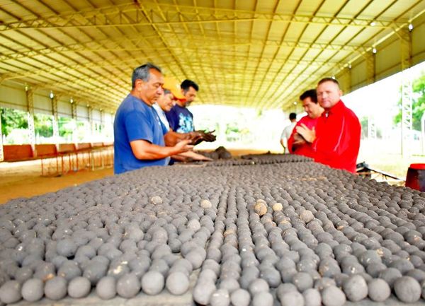 Más de 120.000 bombas de semillas para el  Ybytyruzú - Interior - ABC Color