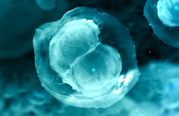Experimento genético contra el VIH pudo haber creado mutaciones no intencionadas en China - SNT