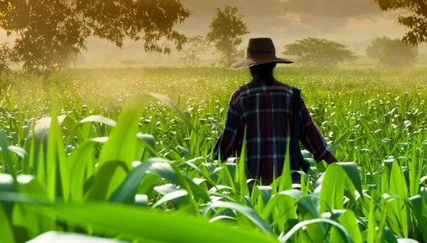 Egresados de escuelas agrícolas viajan a Estados Unidos