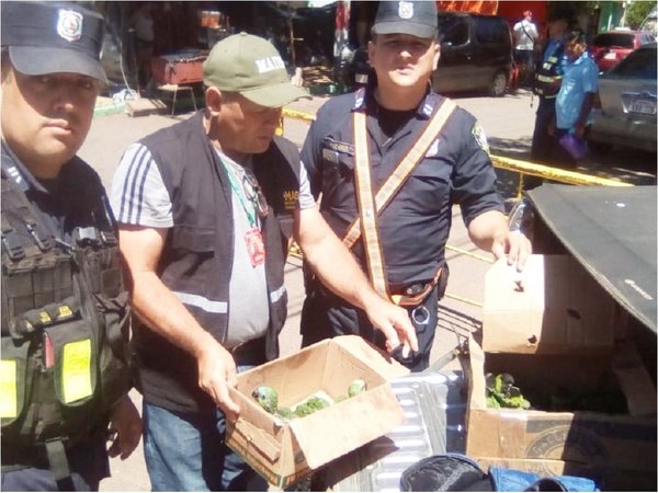 Mades rescata aves silvestres en Caacupé