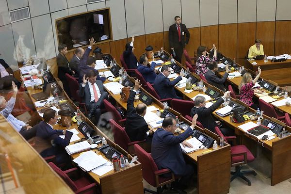 Recomendarán promulgación del PGN sancionado por Senado