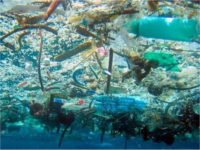 Cambio climático mermará oxígeno de los océanos hasta un 4% en 2100