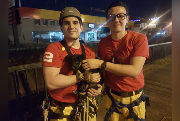 Así los bomberos de Santísima Trinidad salvaron a un perrito