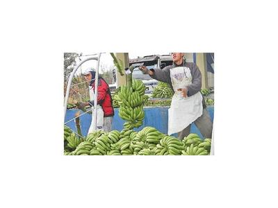 Banana paraguaya podrá ser exportada al mercado chileno