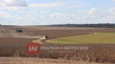 PODRÍA SER LA MEJOR COSECHA DE SOJA LUEGO DE 5 AÑOS